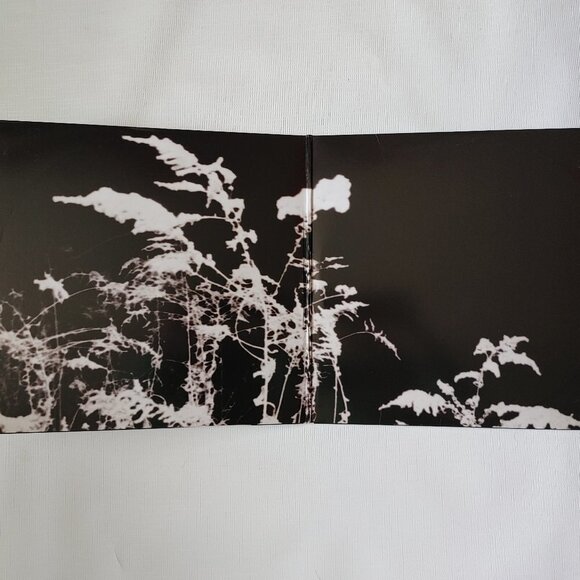 Charlotte Day Wilson ALPHA Indie Vinyl Record - Picture 5 of 8